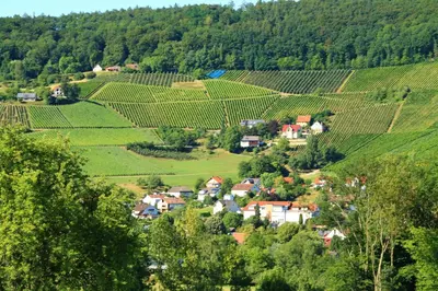 Naturlandschaft in der Nähe der Ferienwohnung