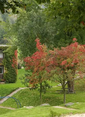 Ein Garten an der Unterkunft Blumenwiese Appartement