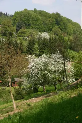 Naturlandschaft in der Nähe des Ferienhauses