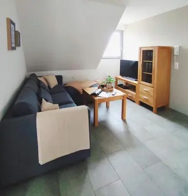 TV/Unterhaltungsangebot in der Unterkunft Ferienwohnung Scheib Aspach