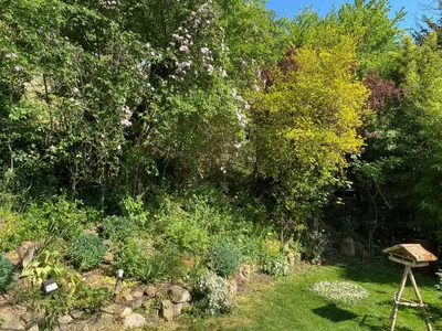 Ein Garten an der Unterkunft Pantone Ultra