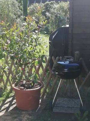 Ein Garten an der Unterkunft Apartment Heddesheim
