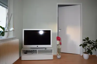 TV/Unterhaltungsangebot in der Unterkunft Ferienwohnung Wörrstadt