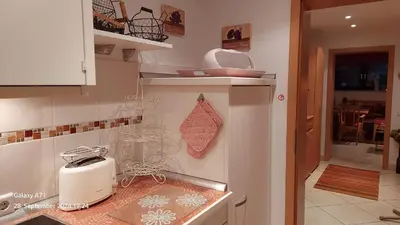 Küche/Küchenzeile in der Unterkunft Ferienwohnung Zum Weinberg bis 4 Personen - Im Herzen der Pfalz