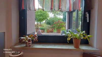 Ein Garten an der Unterkunft Ferienwohnung Zum Weinberg bis 4 Personen - Im Herzen der Pfalz
