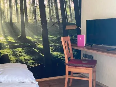 TV/Unterhaltungsangebot in der Unterkunft Landgasthof Hirsch