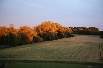 Naturlandschaft in der Nähe des Hotels