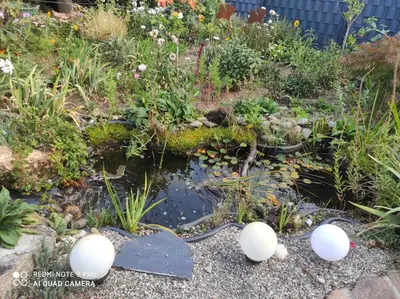 Ein Garten an der Unterkunft Ferienwohnung Gartenblick