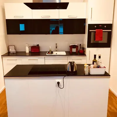 Küche/Küchenzeile in der Unterkunft Modernes Apartment - Neustadt/Weinstraße Stadt
