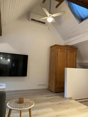 TV/Unterhaltungsangebot in der Unterkunft Großherzögliches Jägerhaus