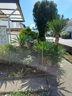 Ein Garten an der Unterkunft urige gemütliche Ferienwohnung 64 m2 in Dielheim, Nähe Heidelberg