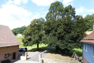 Die Umgebung um das Ferienhaus