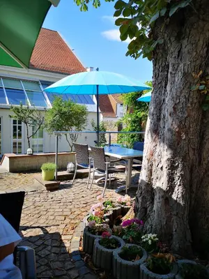 Ein Garten an der Unterkunft Zur Sonne