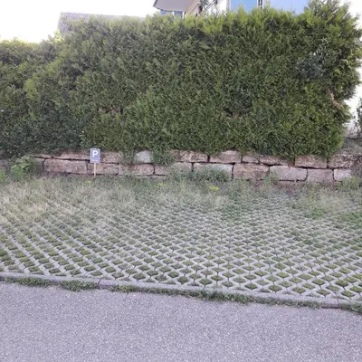 Ein Garten an der Unterkunft holydayhome FeWo Schwarz