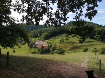 Naturlandschaft in der Nähe des Ferienhauses