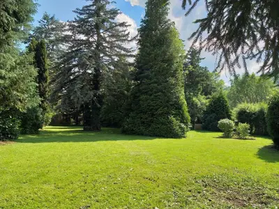 Ein Garten an der Unterkunft Haus im Grünen