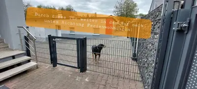 Haustiere von Gästen der Unterkunft Ferienwohnung/Monteurzimmer auf dem Bauernhof
