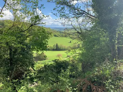 Naturlandschaft in der Nähe der Ferienwohnung