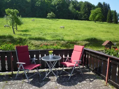 Ein Garten an der Unterkunft Ferienwohnungen Haus Fernblick