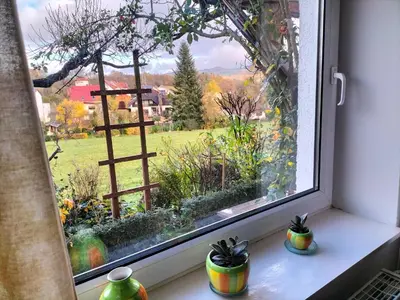Ein Garten an der Unterkunft Pension Rosenblick