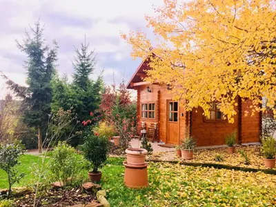 Ein Garten an der Unterkunft Ferienhaus Kleine Pfalz
