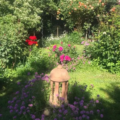 Ein Garten an der Unterkunft Michaelsbergblick