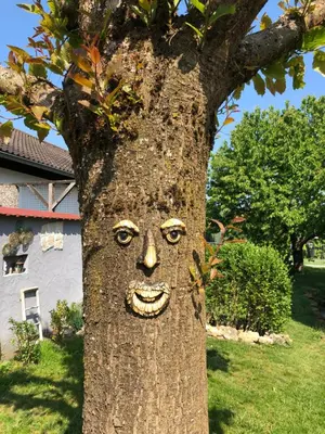 Ein Garten an der Unterkunft Ferien- und Monteurswohnung Heilbrunnen