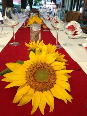 Getränke in der Unterkunft Marktplatzhotel - Restaurant Tafelspitz