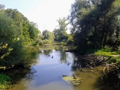 Naturlandschaft in der Nähe der Ferienwohnung