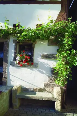 Ein Garten an der Unterkunft Hotel Restaurant Zum Nachtwächter