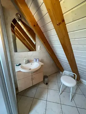 Ein Badezimmer in der Unterkunft Glattbacher Hof Ferienwohnung 10
