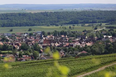 Naturlandschaft in der Nähe des Hotels