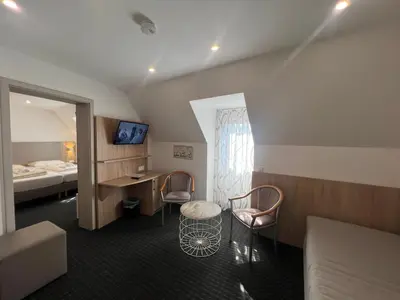 TV/Unterhaltungsangebot in der Unterkunft Hotel Kriemhilde