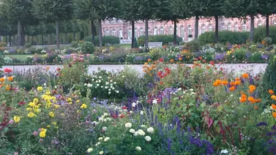 Ein Garten an der Unterkunft Komfortables 3-Zimmer Apartment in Schwetzingen zwischen Mannheim und Heidelberg