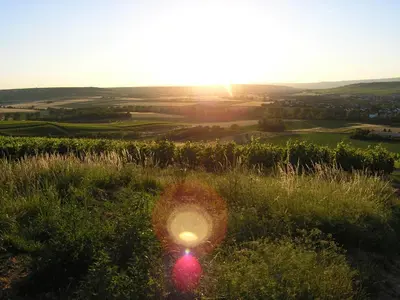 Naturlandschaft in der Nähe des Hotels