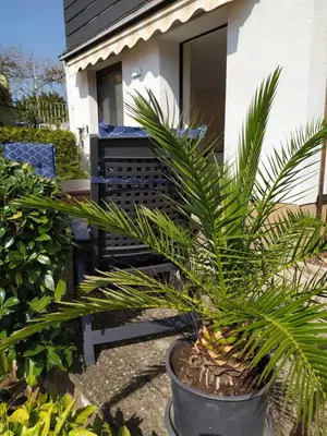 Ein Garten an der Unterkunft Apartment am Kaffelstein - mit Terrasse