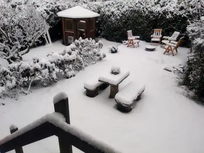 Ferienhaus Marré - mit Grill, Feuerstelle und Gartensauna im Winter