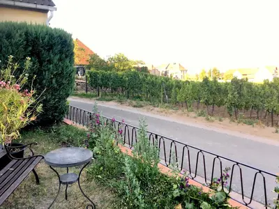 Ein Garten an der Unterkunft Ferienwohnung Südpfalzblick