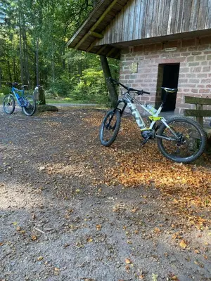 Radfahren an der Unterkunft WeinQuartier Minges oder in der Nähe