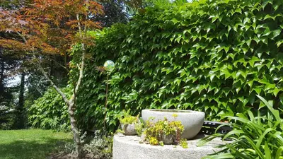 Ein Garten an der Unterkunft Ferienwohnung am Bruchwald