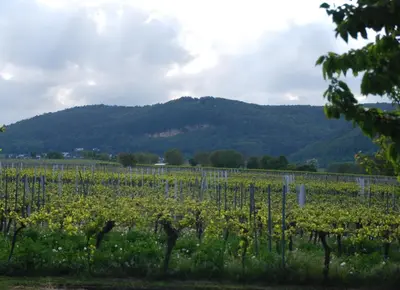 Ein allgemeiner Bergblick oder ein Berglick von der Ferienwohnung aus