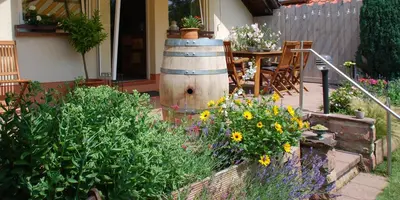 Ein Garten an der Unterkunft Gartenhaus am Weinberg