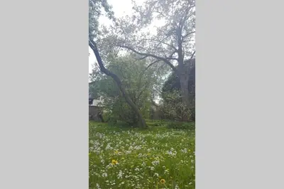 Ein Garten an der Unterkunft Anna - neue Ferienwohnung mit Blick ins Grüne