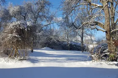 Anna - neue Ferienwohnung mit Blick ins Grüne im Winter