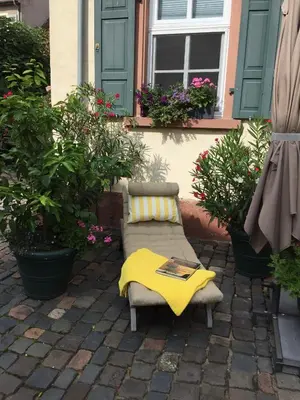 Ein Garten an der Unterkunft Alte Schule Wachenheim im Zellertal