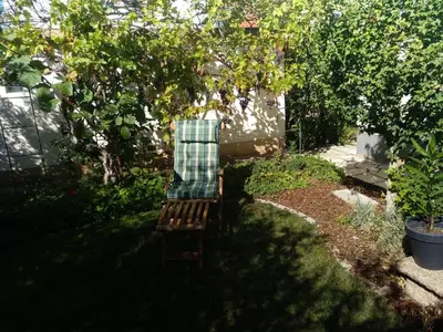 Ein Garten an der Unterkunft Kakteengarten