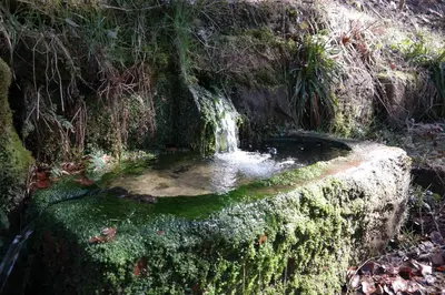 Naturlandschaft in der Nähe der Ferienwohnung