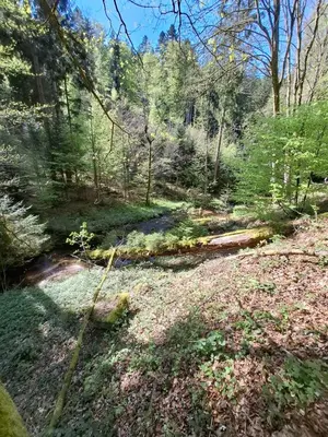 Naturlandschaft in der Nähe der Ferienwohnung