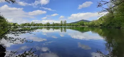 Naturlandschaft in der Nähe der Ferienwohnung