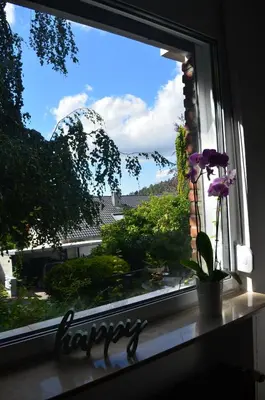 Ein allgemeiner Bergblick oder ein Berglick von der Ferienwohnung aus